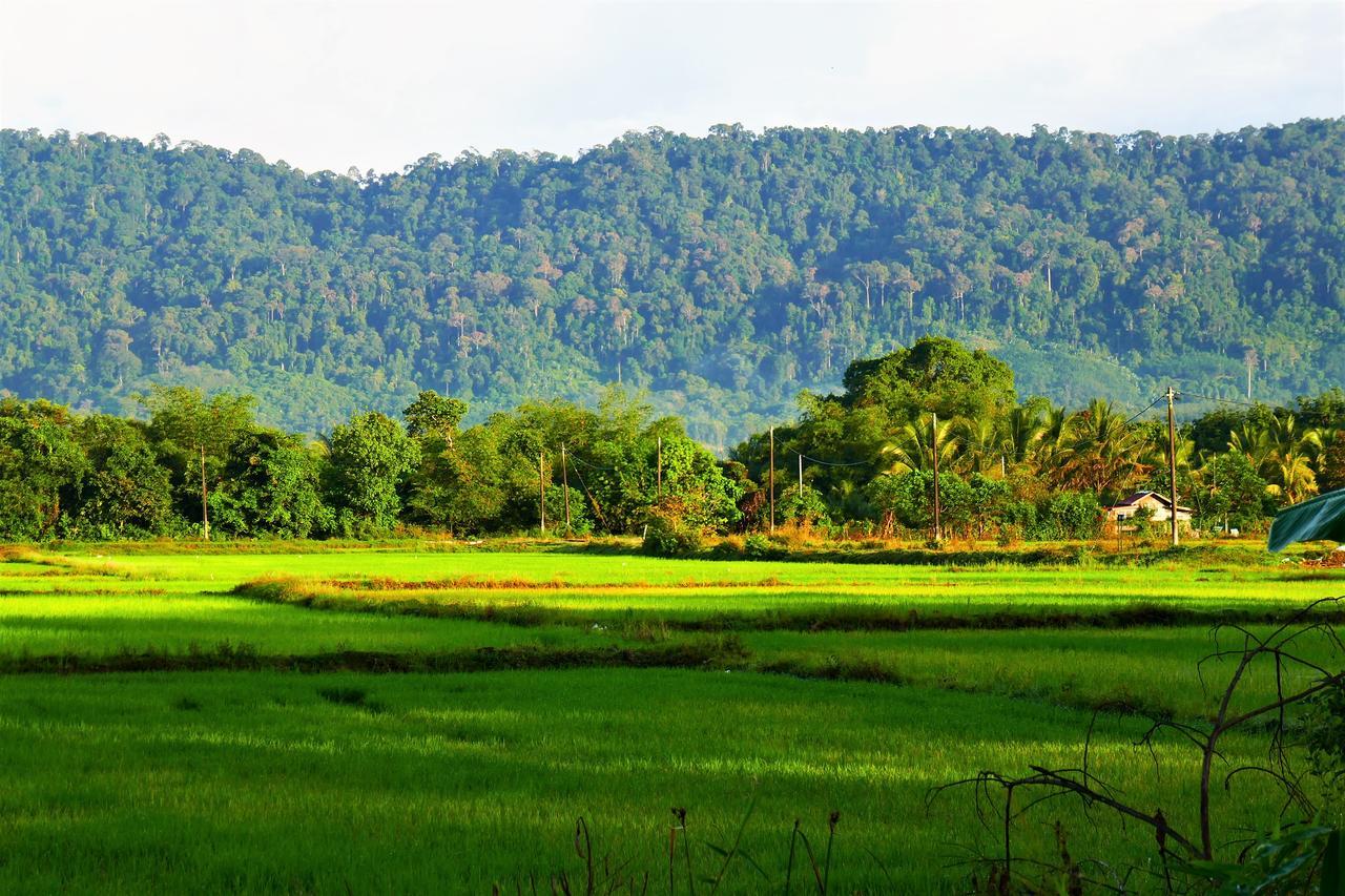 The Chabang Langkawi Villa Dış mekan fotoğraf